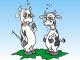 Mad Cow Disease Resurfaces In California